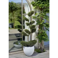 EDA Pot egg Graphit blanc cérusé D50 x H45