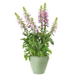 Hot ELHO Pot en polypropylène vert pistache Vibia Campana - Ø 30 x 25,8 cm