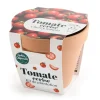 Outlet RADIS ET CAPUCINE Pot en terre cuite antique avec graines de tomate cerise bio Radis & Capucine