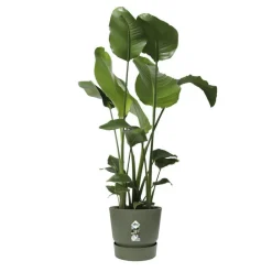 Best ELHO Pot Greenville rond de 13 L coloris vert Ø 30 x H 28 cm