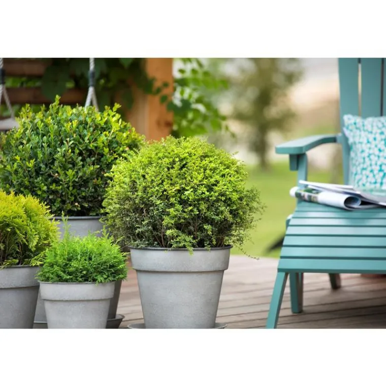 DECOLINES Pot horticole en acier peint gris clair Ø 22 x H 20 cm