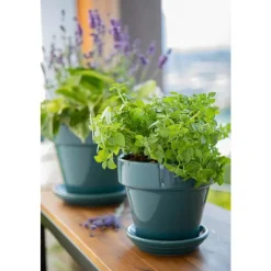 Sale DECOLINES Pot horticole émaillé de 0,9 L coloris bleu Ø 14 x H 12 cm