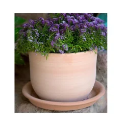 TERRABLANCA Pot Macetero terre cuite claire D20XH16