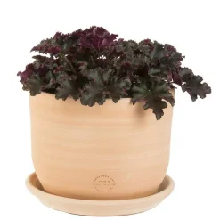 TERRABLANCA Pot Macetero terre cuite claire D26XH20