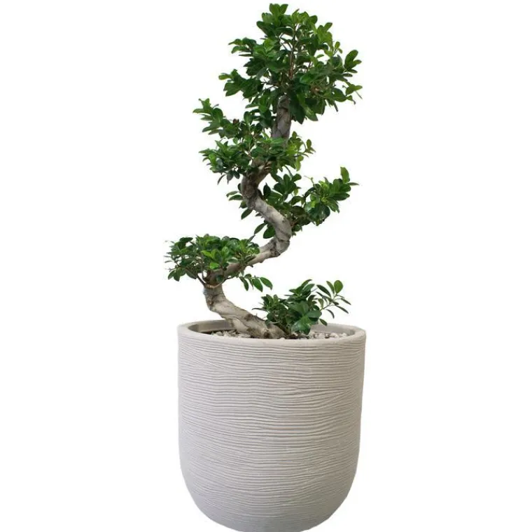 CHAPELU FRERES Pot rond en corde Ø 45 cm