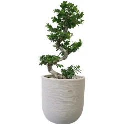 CHAPELU FRERES Pot rond en corde Ø 45 cm