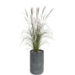 Clearance MICA DÉCORATIONS Pot rond Stream haut Anthracite Ø.37 x H.60 cm