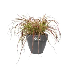 Discount ELHO Pot vibia campana rond de 11 L coloris noir Ø 30 x H 25 cm
