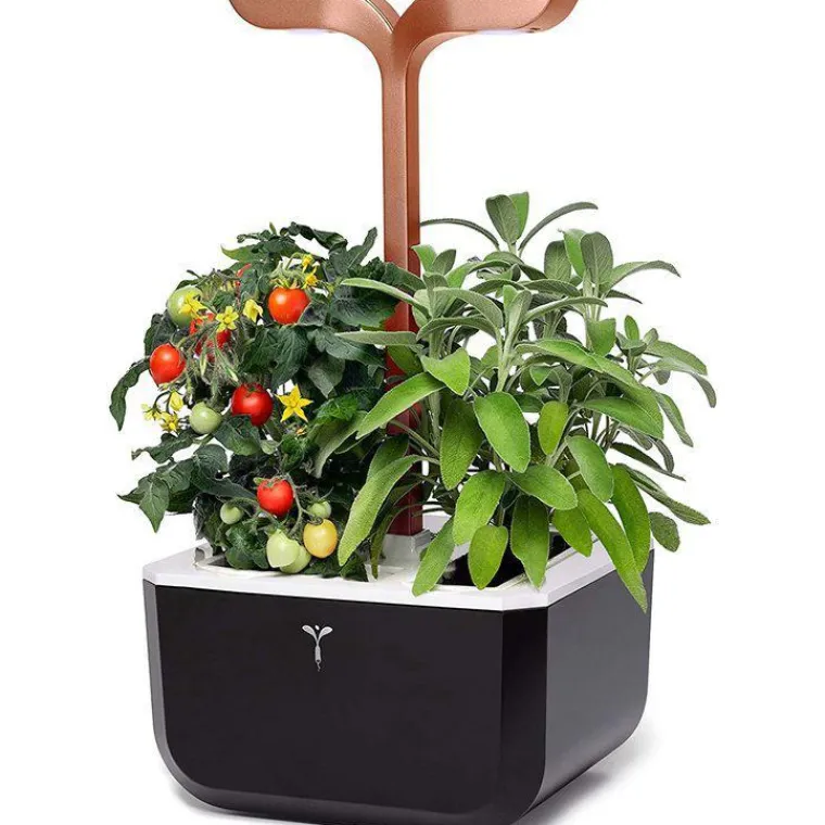 Discount VÉRITABLE Potager d'intérieur autonome compact Exky® SMART Black Copper - livré avec 2 lingots