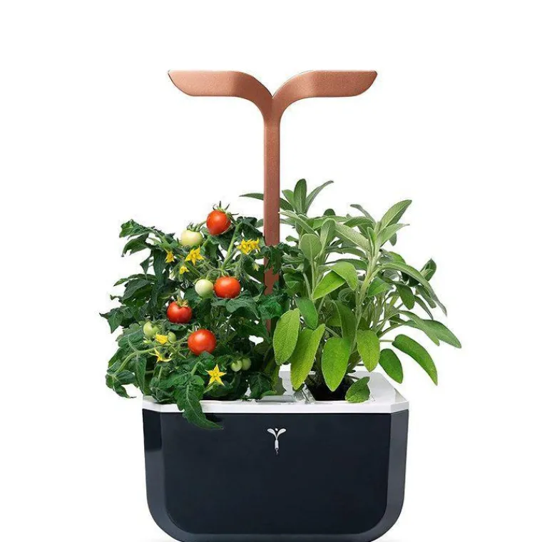 Discount VÉRITABLE Potager d'intérieur autonome compact Exky® SMART Black Copper - livré avec 2 lingots