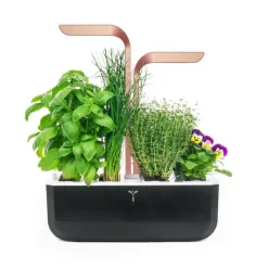 Discount VÉRITABLE Potager d'intérieur autonome Véritable® SMART Black Copper - livré avec 4 lingots