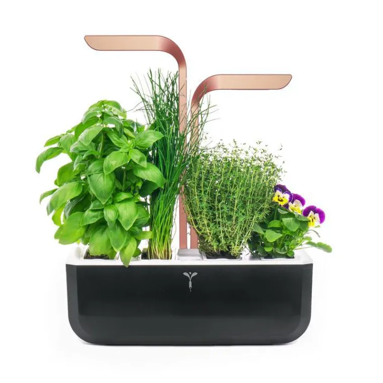 Discount VÉRITABLE Potager d'intérieur autonome Véritable® SMART Black Copper - livré avec 4 lingots