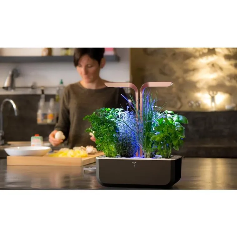 Discount VÉRITABLE Potager d'intérieur autonome Véritable® SMART Black Copper - livré avec 4 lingots