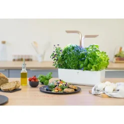 Discount VÉRITABLE Potager d'intérieur autonome Véritable® CONNECT – Moonlight Gold - livré avec 4 lingots