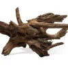AQUAVIE Racine décorative pour aquarium coloris marron Sinknatur - Taille M