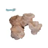 New AQUAROCHE Roche Eau de mer LV Neutre Petit Modèle Corallienne 18x10x10 cm