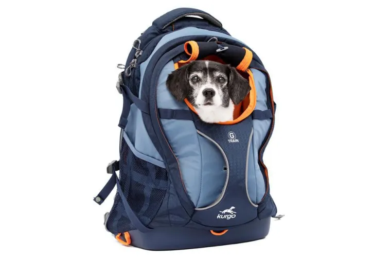 Outlet KURGO Sac à dos coloris bleu G-Train