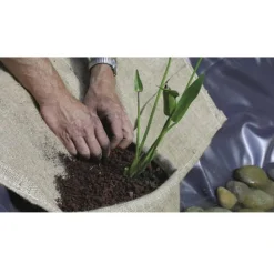 Online OASE Sac de plantation bassin, 100x60 cm, matière résistante - Aquabag