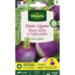 Clearance VILMORIN Sachet de graines de navet-légume blanc globe à collet violet