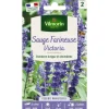 New VILMORIN Sachet de graines de sauge