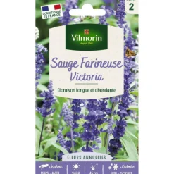 New VILMORIN Sachet de graines de sauge