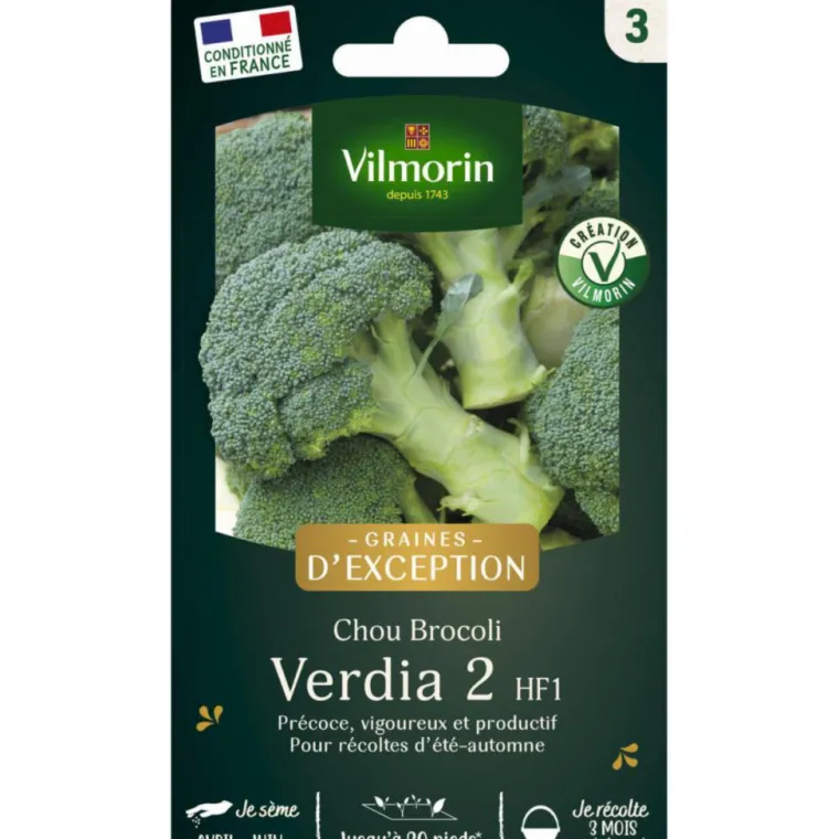 Discount VILMORIN Sachet de semences potagères de graines de chou Brocoli Verdia 2 HF1 Graines d'Exception