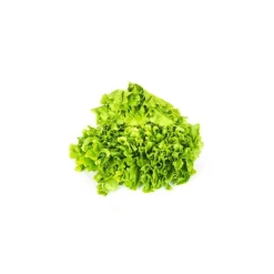 Hot Salade scarole bio de France - Prix à la pièce