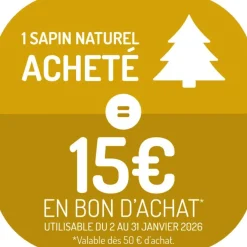 Sapin de Noël naturel blanc effet enneigé Diamant Robin®