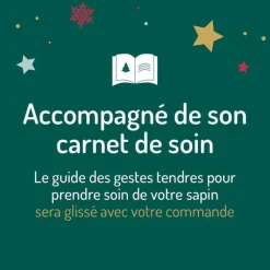 New Sapin de Noël naturel coupé Épicéa - de 175 à 200 cm