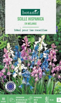 Best BOTANIC® Scilla hispanica en mélange - 10 bulbes