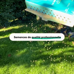 Clearance BLEEN Semences gazon création et rénovation pour tous types de terrain - 5 kg