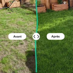 Outlet BLEEN Semences gazon création et rénovation pour tous types de terrain - 3 kg