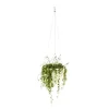 Discount Senecio Rowleyanus suspension Ø14xH30/40 cm
