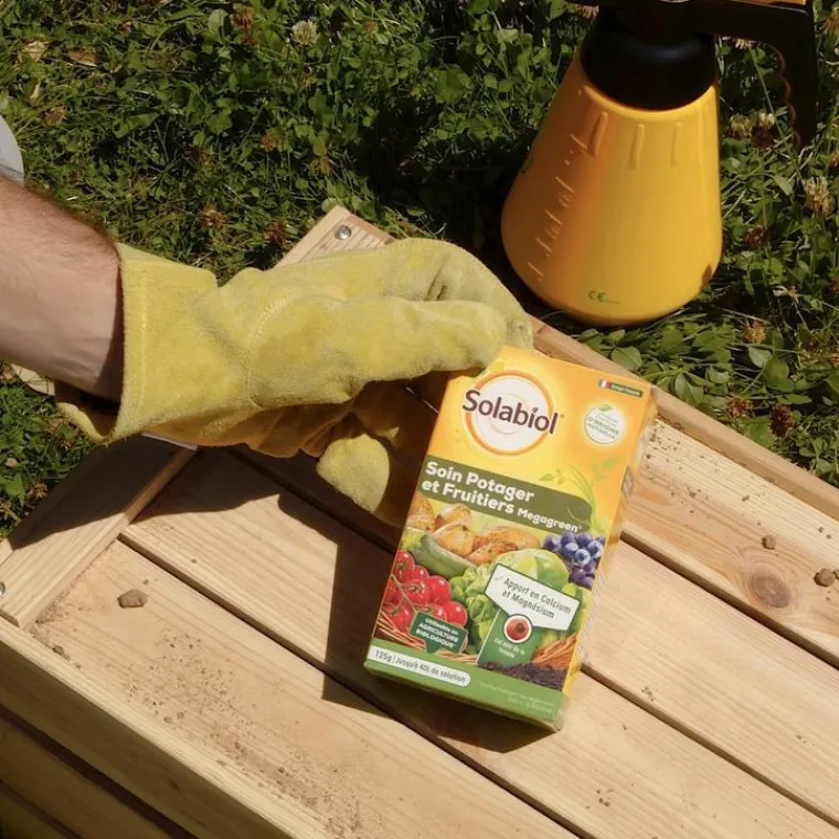 SOLABIOL Soin Potager Fruitiers Megagreen® 125 g