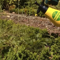 SOLABIOL Soin Potager Fruitiers Megagreen® 125 g