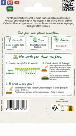 VILMORIN Souci Nain Fiesta Gitana - graines à semer