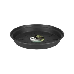 Best ELHO Soucoupe Green Basics 14 cm noire Noir. Dimension totale : D.13,5 X H.2cm. Les soucoupes d'u2019elho offrent le meilleur systu00e8me d'u2019arrosage u00e0 toutes vos plantes. Lu2019'excu00e9dent d'u2019eau est ru00e9cupu00e9ru00e9 par la soucoupe, dans laquelle la plante puise quand elle en a besoin. Existe en plusieurs tailles et diffu00e9rents coloris.","pos":34},"unic_product_shipping_ldd":{"title":"Eligible LDD","type":"Boolean","renderingMode":null,"value":false,"pos":50},"unic_product_suitable_pot":{"title":"Pot adaptu00e9","type":"Boolean","renderingMode":null,"value":false,"pos":102},"unic_product_suitable_saucer":{"title":"Soucoupe adaptu00e9e","type":"Boolean","renderingMode":null,"value":false,"pos":103},"unic_product_uv_resistance":{"title":"Ru00e9sistance aux UV","type":"String","renderingMode":null,"value":"TRu00c8S BONNE","pos":105}},"contexts":{"list":{"title":"Liste sur le site"},"specifications":{"title":"Caractu00e9ristiques"},"information":{"title":"Onglet dans le du00e9tail"},"technical":{"title":"Mise u00e0 disposition technique"}},"visibilities":{"specifications":[{"key":"commons","items":[{"key":"unic_product_care_tips"},{"key":"unic_product_main_colour"},{"key":"unic_product_diameter"},{"key":"unic_product_shape"},{"key":"unic_product_material"},{"key":"unic_product_hazardous_material"},{"key":"unic_product_origin"}]},{"key":"specific","items":[{"key":"unic_product_suitable_pot"},{"key":"unic_product_suitable_saucer"},{"key":"unic_product_uv_resistance"}]}],"technical":[{"key":"commons","items":[{"key":"unic_product_warranty_label"},{"key":"unic_product_desc_web_short"},{"key":"unic_product_shipping_ldd"}]}],"information":[{"key":"commons","items":[{"key":"unic_product_desc_web_long"}]}]}},"jsonLd":{"@context":"https://schema.org","@type":"Product","name":"Soucoupe Green Basics 14 cm noire ELHO","url":"https://www.botanic.com/produit/33257/soucoupe-green-basics-14-cm-noire-elho.html","image":["https://botanic-botanic-storage.omn.proximis.com/Imagestorage/imagesSynchro/0/0/81769dfb0e2584bd48eaf8f06f37d235782e2311_1526666.png"],"brand":{"@type":"Brand","name":"ELHO"},"sku":"33257","offers":{"@type":"Offer","url":"https://www.botanic.com/produit/33257/soucoupe-green-basics-14-cm-noire-elho.html","priceCurrency":"EUR","price":1.69,"availability":"https://schema.org/InStock"}},"user":{"id":0}};window.__change['gagtm'] = {"view_item":{"currency":"EUR","value":1.69,"items":[{"promotion_id":"","promotion_name":"","item_id":"PV-33257","item_name":"Soucoupe Green Basics 14 cm noire ELHO","affiliation":null,"coupon":"JOURNu00c9ES CLUB","currency":"EUR","discount":0.26,"index":0,"item_brand":"ELHO","item_category":"Soucoupes et plateaux","item_category2":"Pots, bacs et jardiniu00e8res","item_category3":"Plantes & fleurs","item_category4":"botanicu00ae","item_category5":"","item_list_id":"","item_list_name":"","item_variant":"","location_id":"","price":1.69,"quantity":1}]}};Afficher le zoom pour l’image 1 sur 1Aller à la slide précédenteAller à la slide suivante