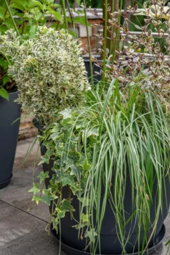 New EDA Soucoupe gris anthracite pour pot Poetic Joy 40 - Ø 30 x H 3,8 cm