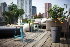 Best ELHO Soucoupe Loft urban anthracite Ø 30 cm