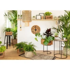 New VIVARAISE Tapis Axel 60 x 110 cm