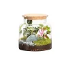 Outlet BOTANIC® Terrarium autonome Jungle Classic - Taille S Ø 23 cm H 20 cm