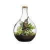 Outlet BOTANIC® Terrarium autonome Suryio - Taille 12 L Ø 29 cm H 43 cm