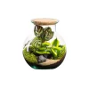 Online BOTANIC® Terrarium autonome Havana Cala - Taille S Ø 19 cm H 20 cm