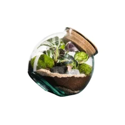 Discount BOTANIC® Terrarium autonome Kuego - Taille M Ø 19 cm H 19 cm