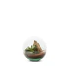 Best BULLE DE NATURE Terrarium Mini Monde en verre transparent Naturalys taille S - Ø 12 x 12 cm