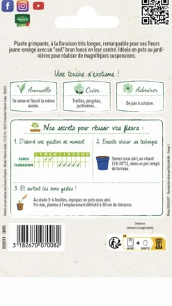 Best VILMORIN Thunbergia Suzanne aux yeux noirs - graines à semer