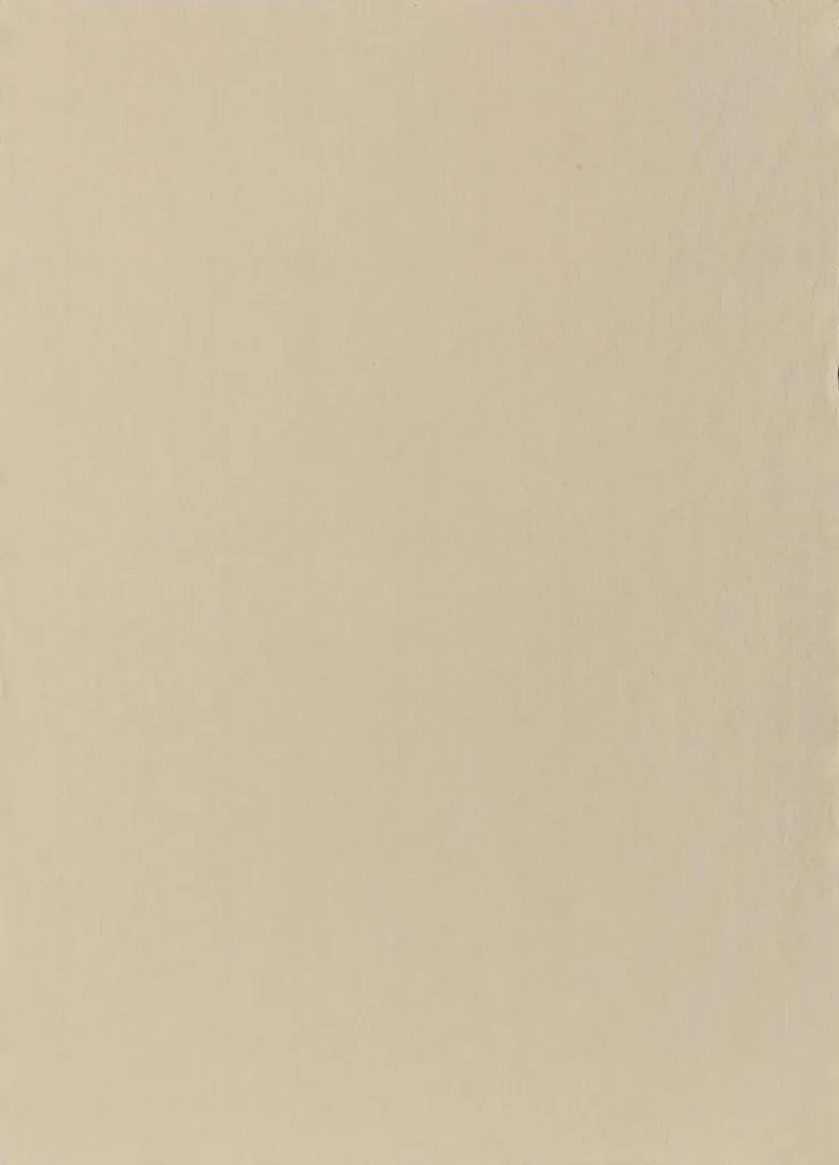 Outlet WINKLER Torchon recyclé Isae coloris beige en coton - 50 x 70 cm