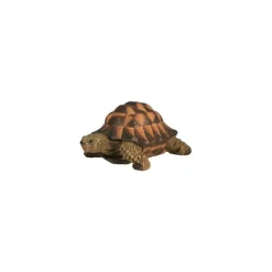Discount RIVIERA Tortue verte 17cm