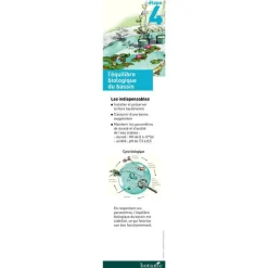 New AQUATIC SCIENCE Traitement bassin contre vase et filament 180 gr