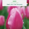 Sale BOTANIC® Tulipe simple hative gander - 10 bulbes
